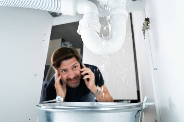 Best Plumbing Installation Services  in Vla Grove, IL