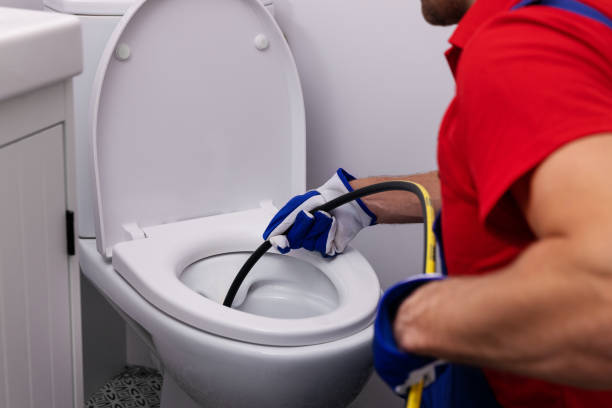 Best Local Plumber Services  in Vla Grove, IL