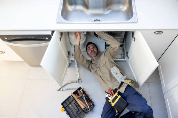 Best 24-Hour Plumber Near Me  in Vla Grove, IL