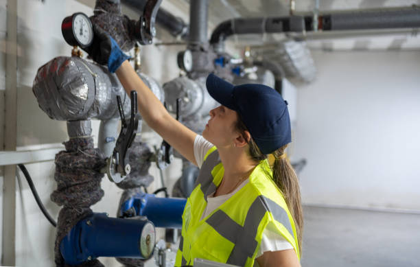 Best Hot Water Heater Installation  in Vla Grove, IL