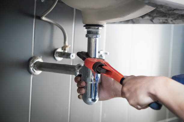 Best Drain Cleaning Services  in Vla Grove, IL
