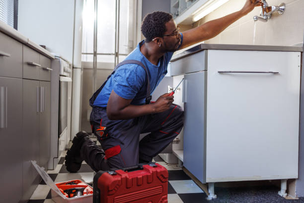 Best Leak Detection Services  in Vla Grove, IL