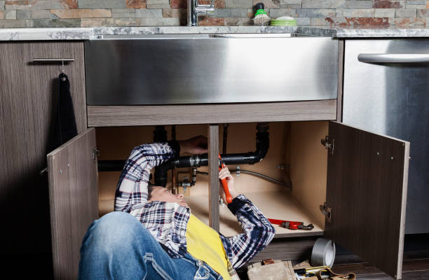 Best Clogged Drain Plumber  in Vla Grove, IL